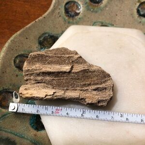 Rare smoky quartz petrified wood